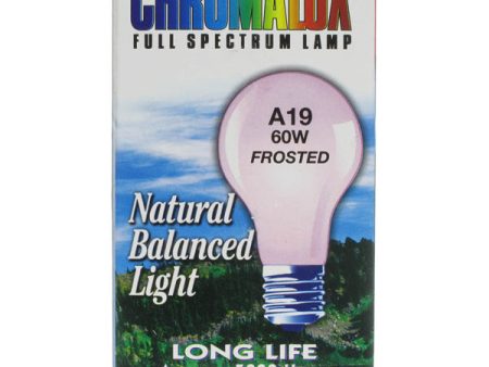 CHROMALUX - Standard Frosted 60W Light Bulb - 1 Bulb Cheap