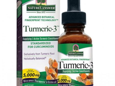 NATURE S ANSWER - Alcohol-Free Turmeric-3 - 1 fl. oz. (30 ml) Discount