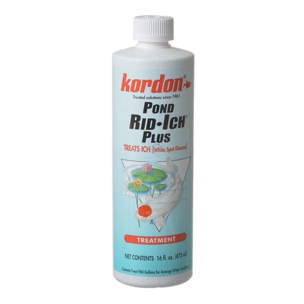 KORDON - Pond Rid-Ich Plus Disease Treatment - 16 fl. oz. (473 ml) Online Hot Sale