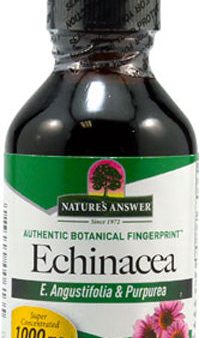 NATURE S ANSWER - Echinacea Root Alcohol-Free Extract - 2 fl. oz. (60 ml) Hot on Sale