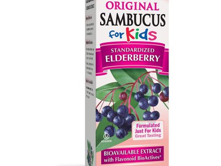 NATURES WAY - Original Sambucus for Kids Standardized Elderberry - 8 fl. oz. (240 ml) Discount