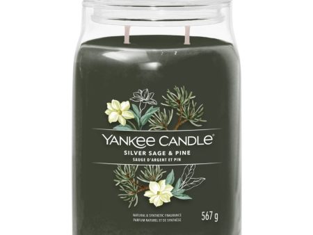 Yankee Candle Silver Sage & Pine Large Signature Jar Candle Online Sale