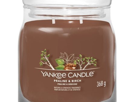 Yankee Candle Praline & Birch Medium Signature Jar Candle Discount