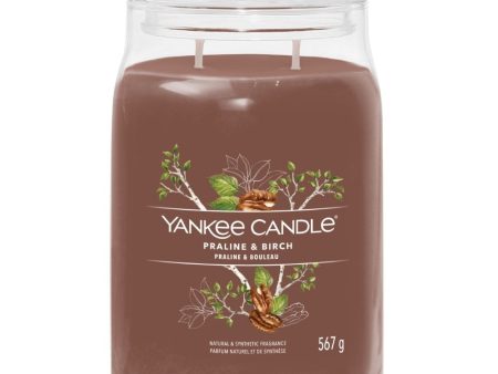 Yankee Candle Praline & Birch Large Signature Jar Candle Discount