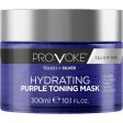 PROVOKE Touch Of Silver Illuminex Hydrating Purple Toning Mask 300ml Cheap