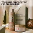 Schwarzkopf Professional BlondMe All Blondes Rich 2 Piece Gift Bag For Cheap