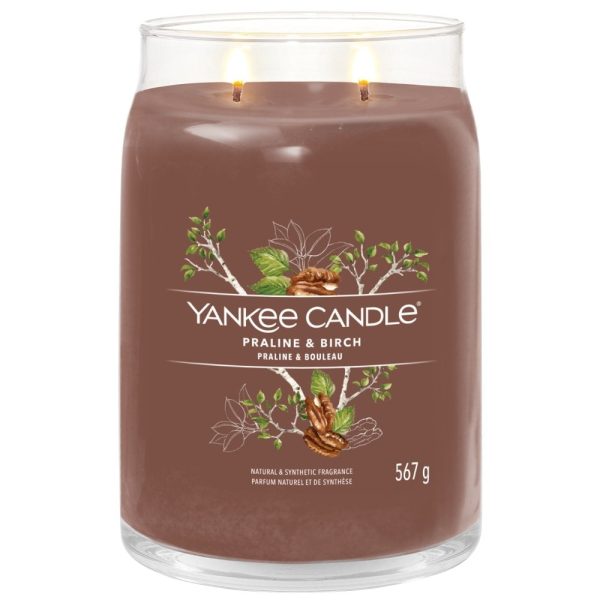 Yankee Candle Praline & Birch Large Signature Jar Candle Discount