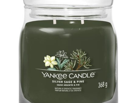 Yankee Candle Silver Sage & Pine Medium Signature Jar Candle on Sale